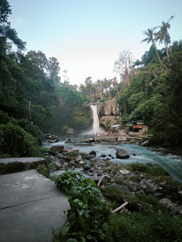 Tour Packages tegenungan