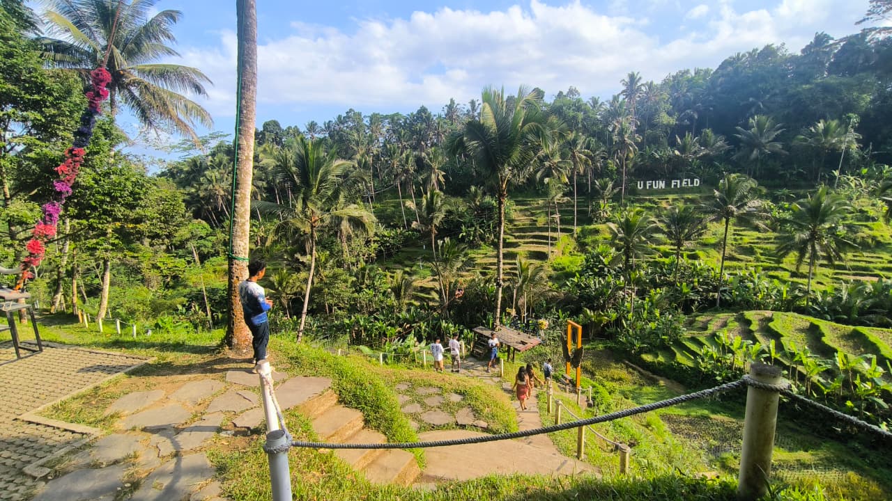 Bali Rice Terrace
