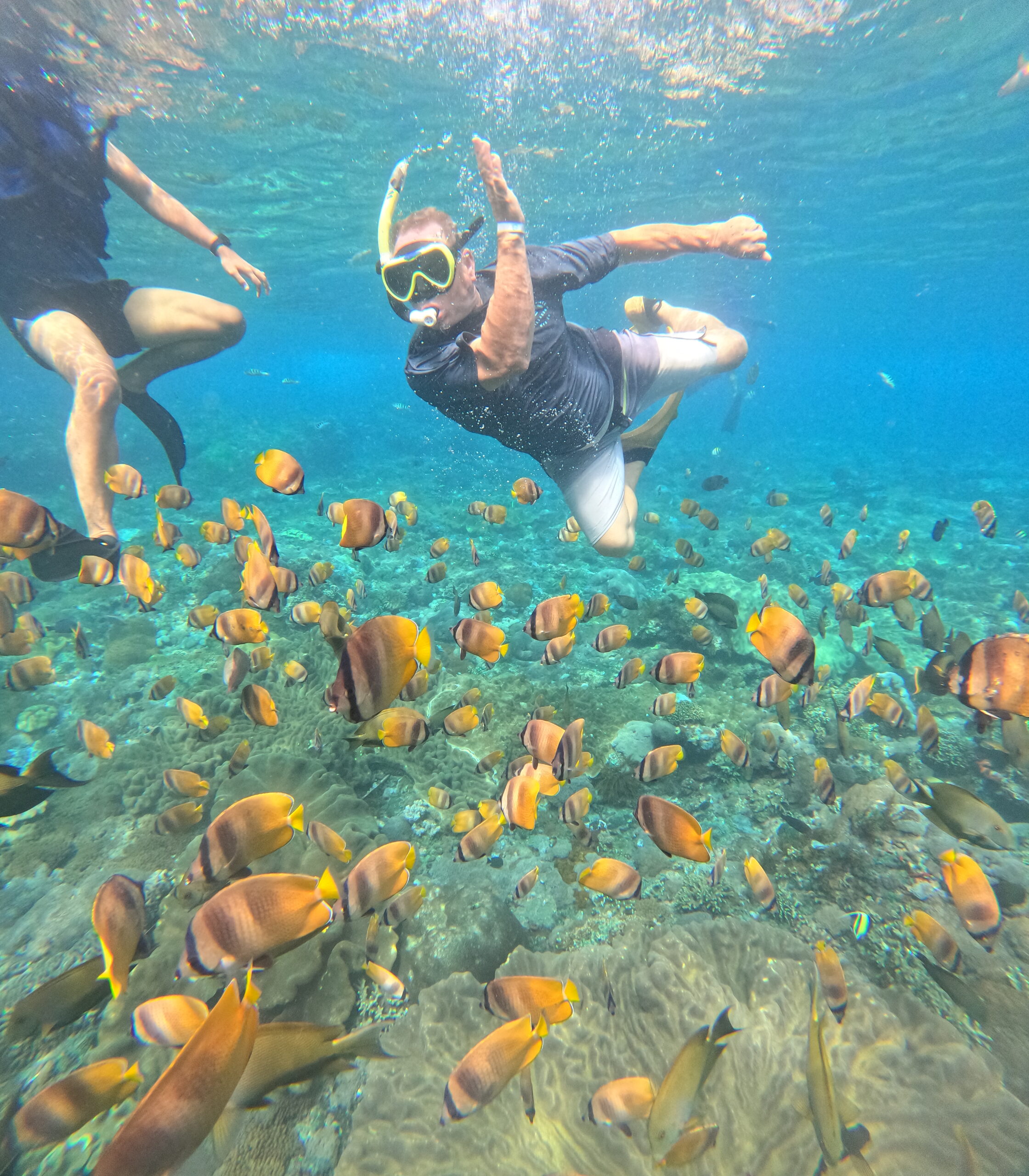 Nusa Penida Snorkeling Tour Best Snorkeling Spots