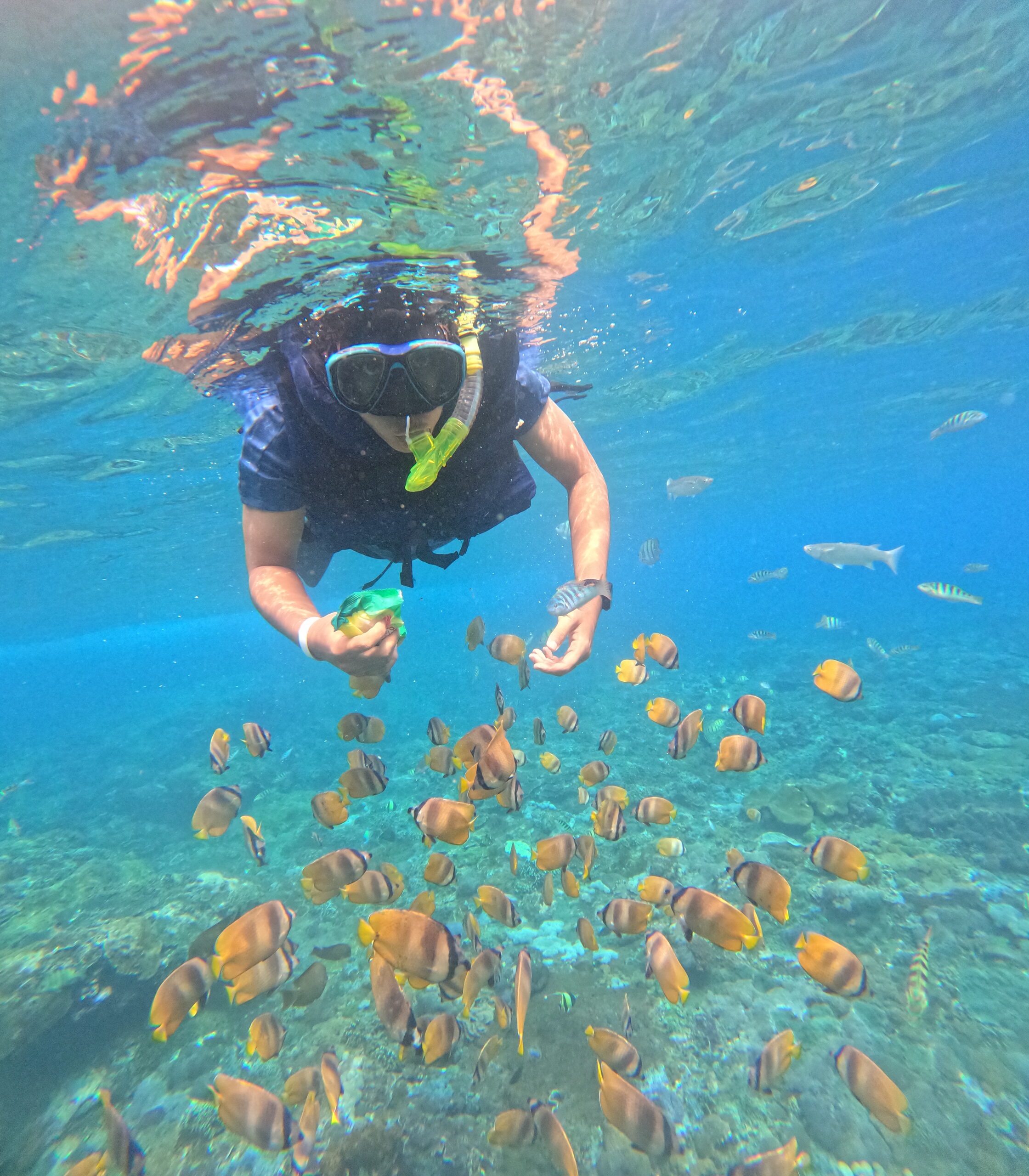Nusa Penida Combination Tour Crystal Clear Water