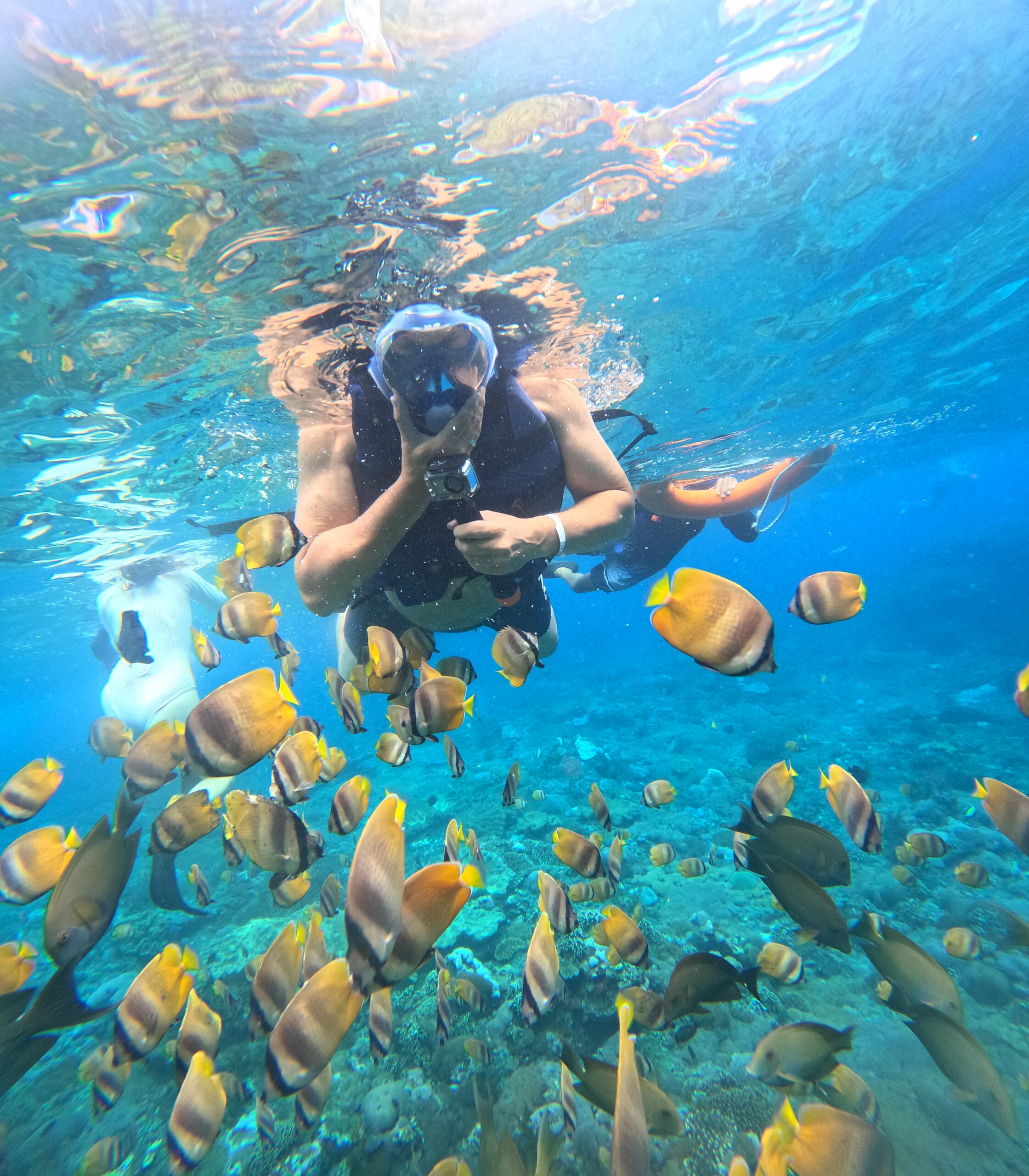 Crystal Bay Snorkeling Nusa Penida