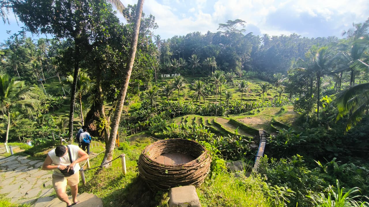 Ubud Custom Private Tour Lush Rice Terrace in Ubud Bali