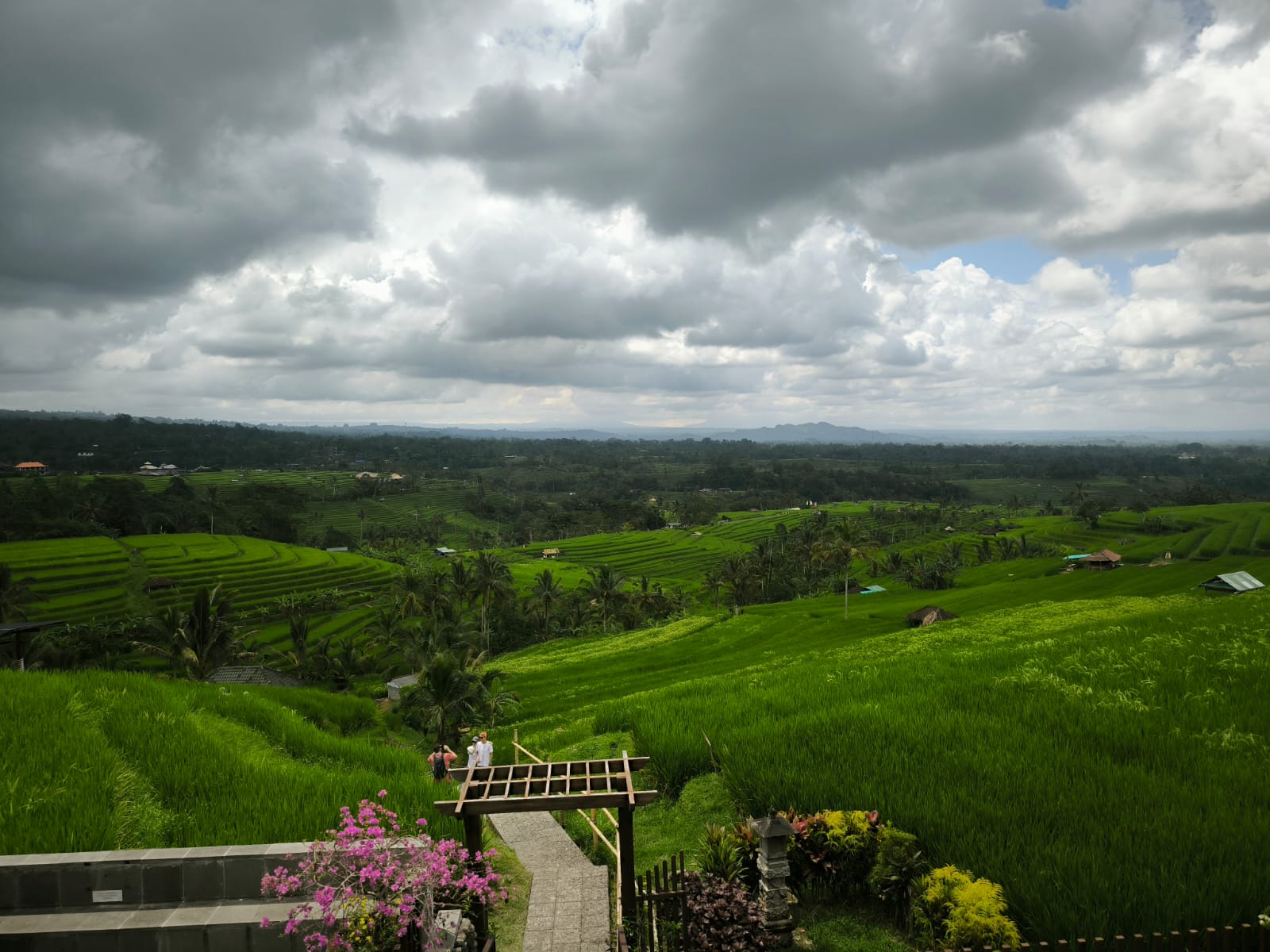 Best Bali Tours & Private Experiences Jatiluwih Rice Terraces Bali private tour
