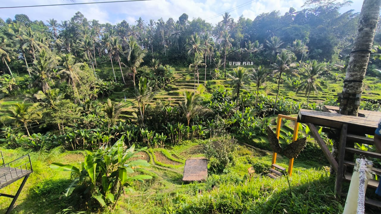 Ubud Cultural Journey Tegalalang Rice Terrace Ubud Bali