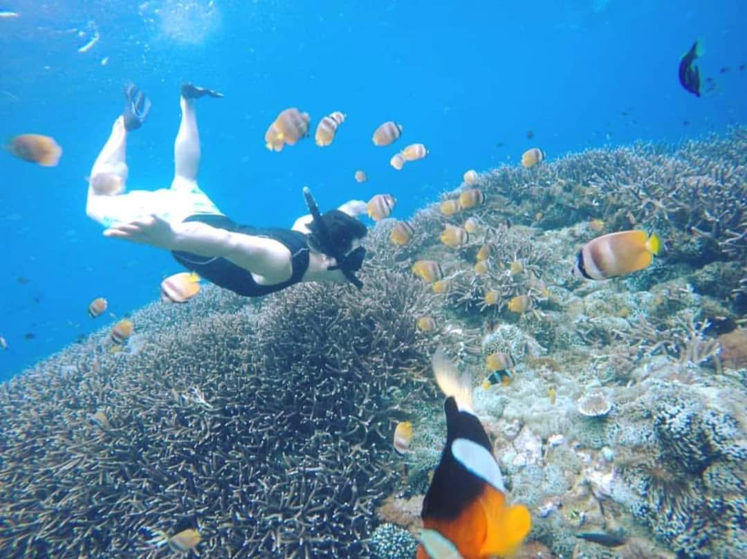 West Nusa Penida Manta Ray Snorkeling Tour