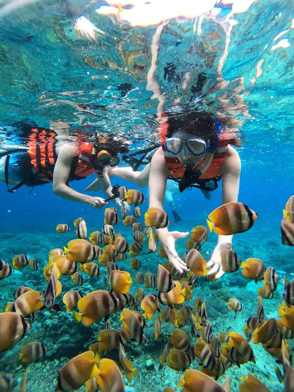 Nusa Penida Combination Tour Snorkeling with Tropical Fish