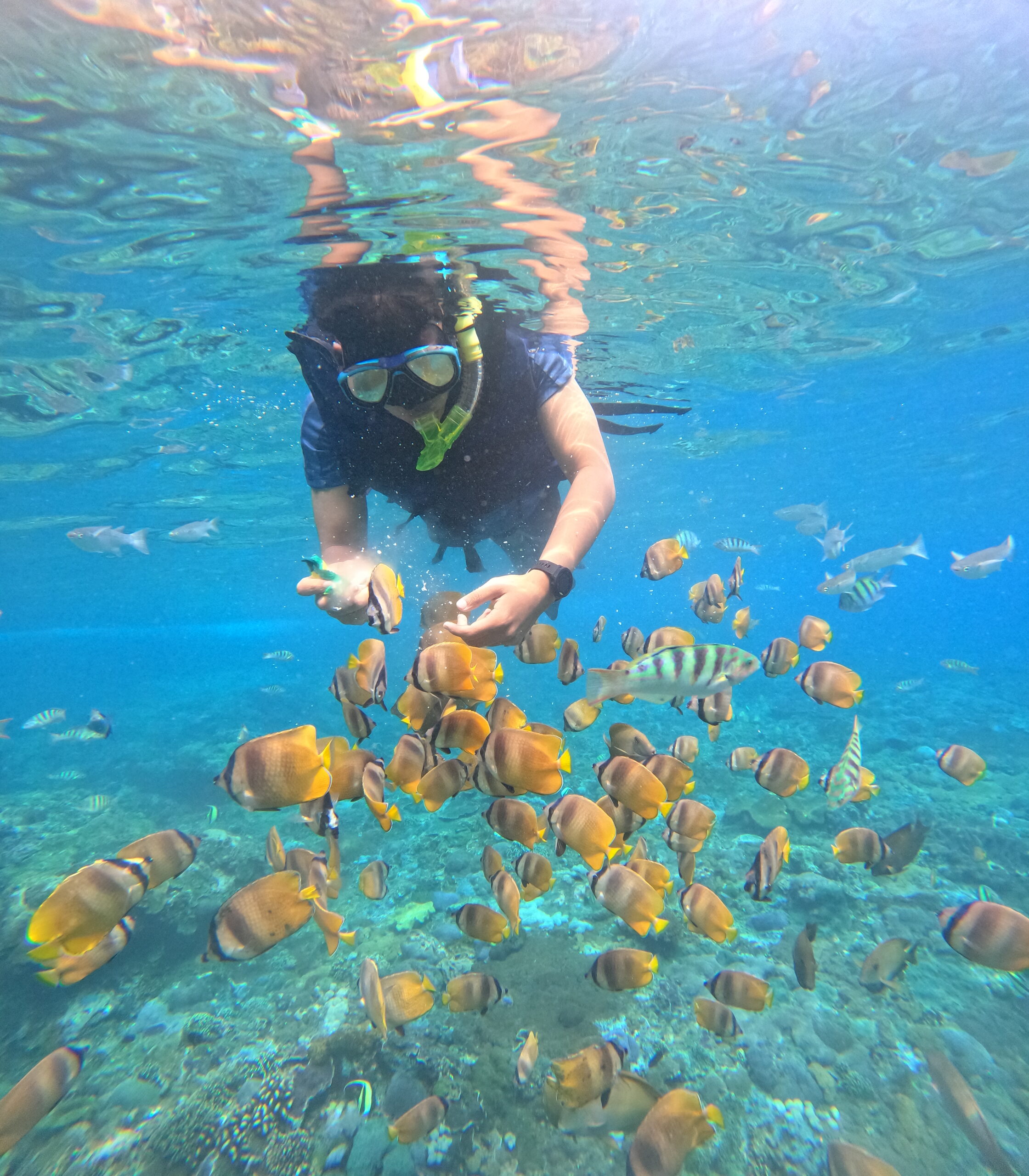 Nusa Penida Combination Tour Tropical Fish