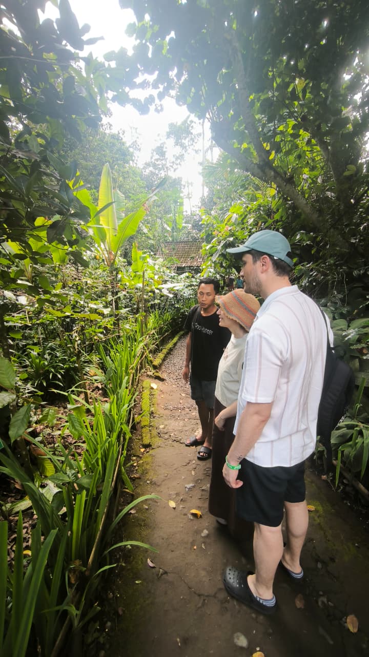 Ubud Coffee Plantation