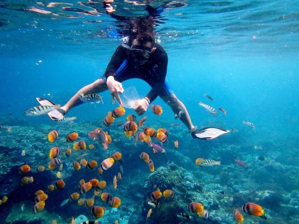 Nusa Penida Combination Tour Underwater Snorkeling
