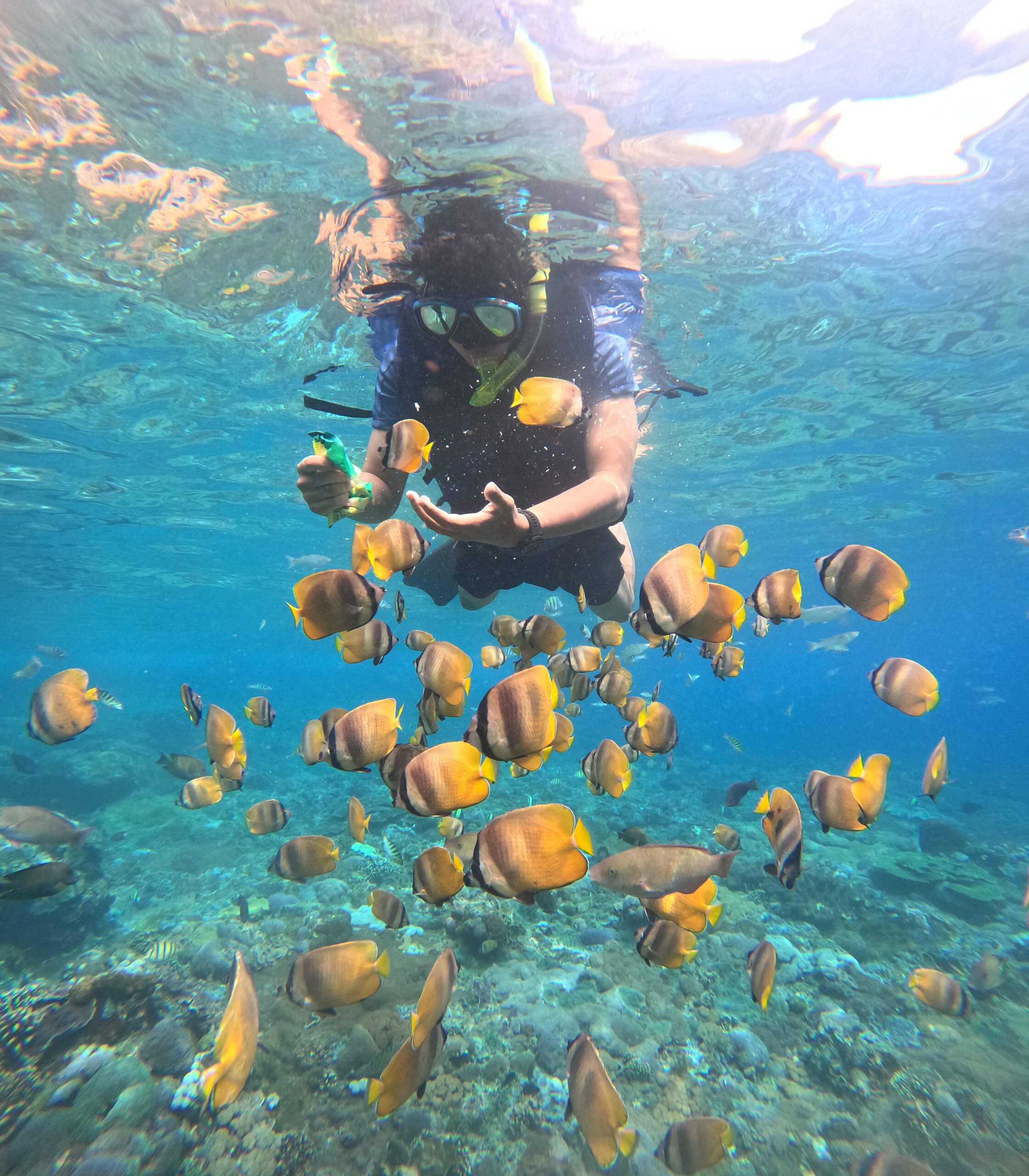 Nusa Penida Snorkeling Tour Crystal Clear Coast
