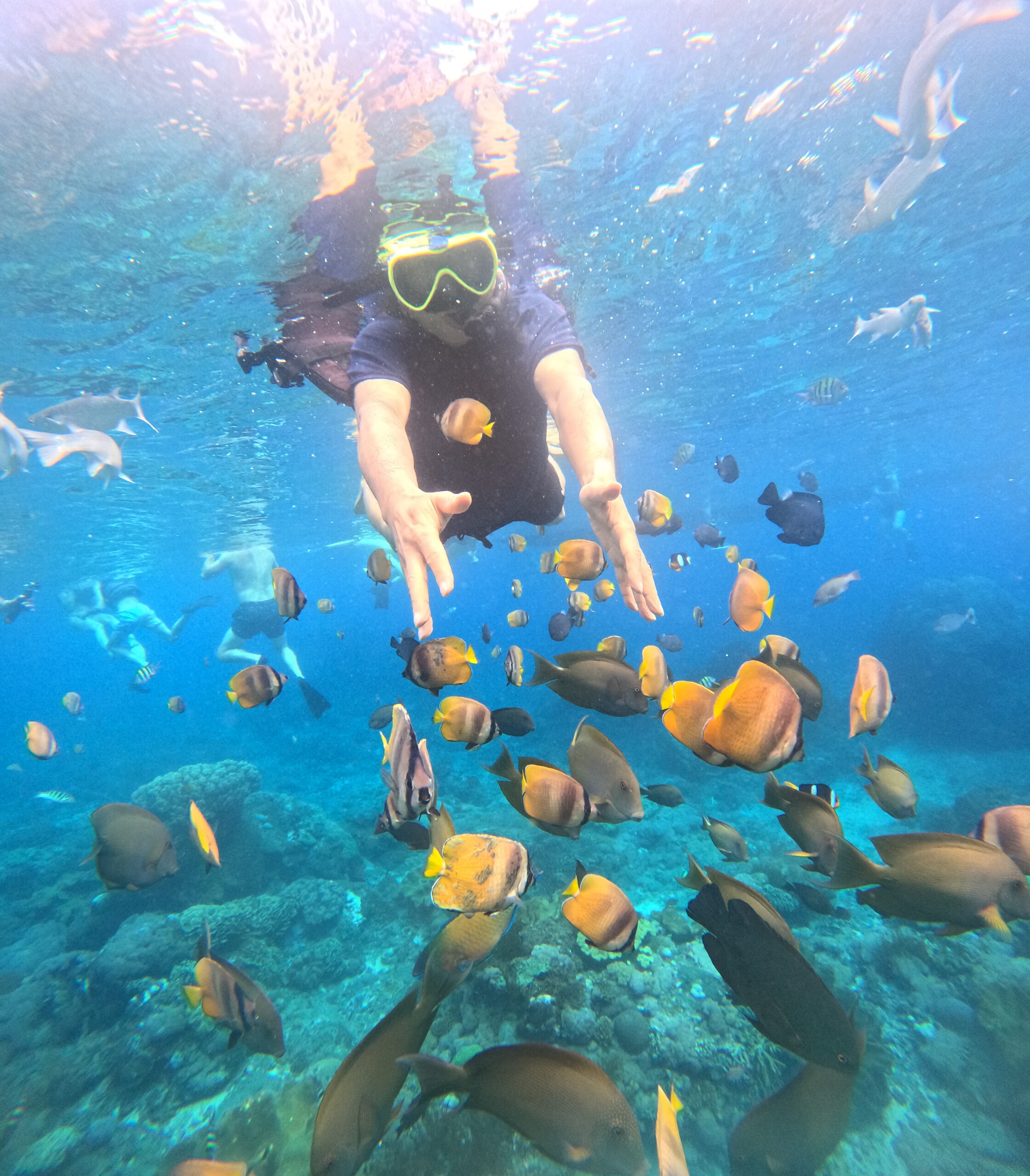 Nusa Penida Snorkeling Tour Wall Bay