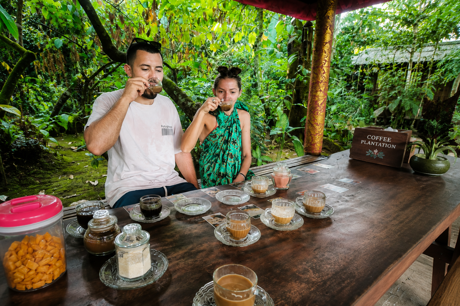 Coffee Plantation