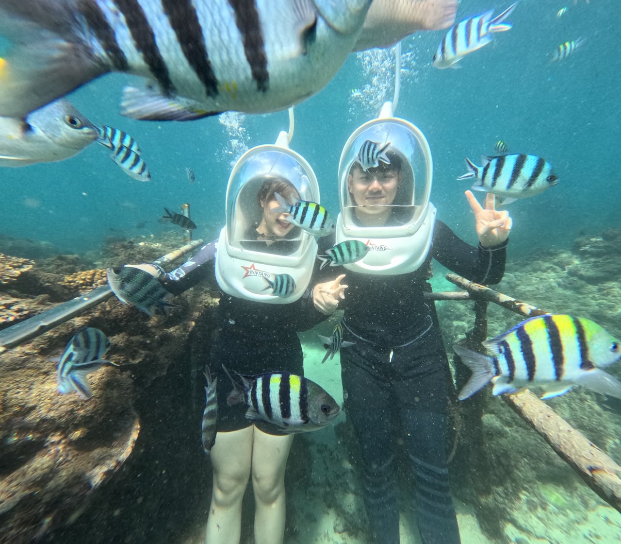 Scuba Diving Experience in Nusa Dua Bali