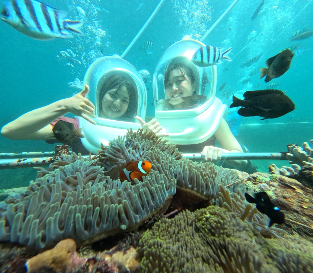 Bali Sea Walker Underwater Coral Reef Nusa Dua