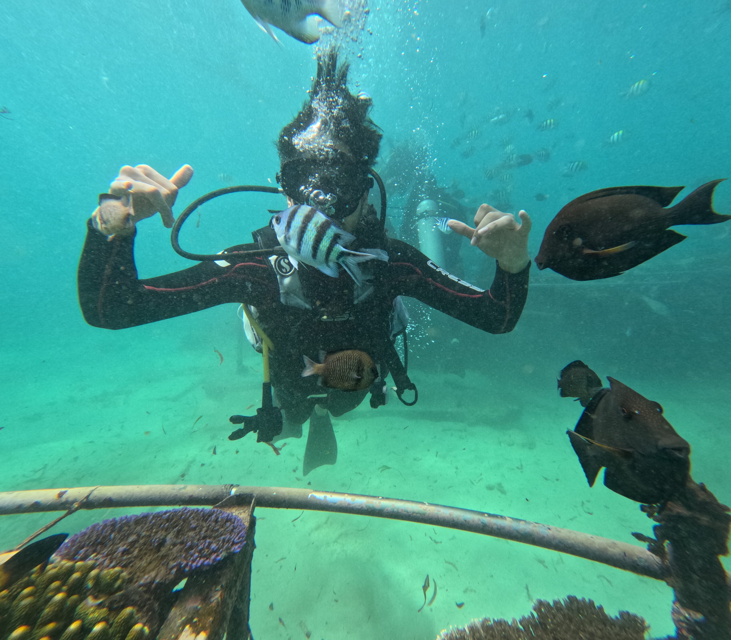 Scuba Diving Water Sports Nusa Dua Bali