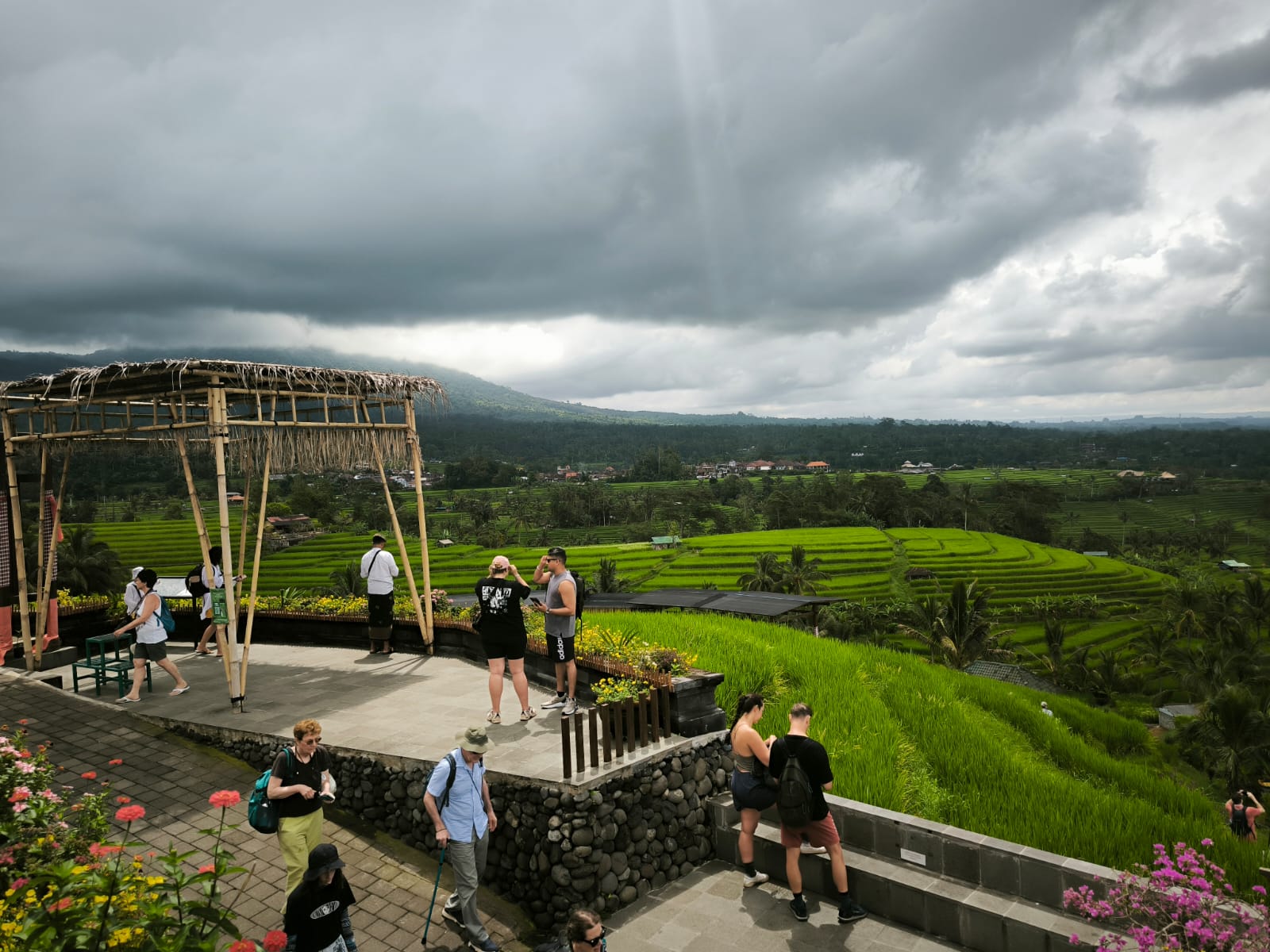 North Bali Custom Tour Bali rice terrace landscape near North Bali