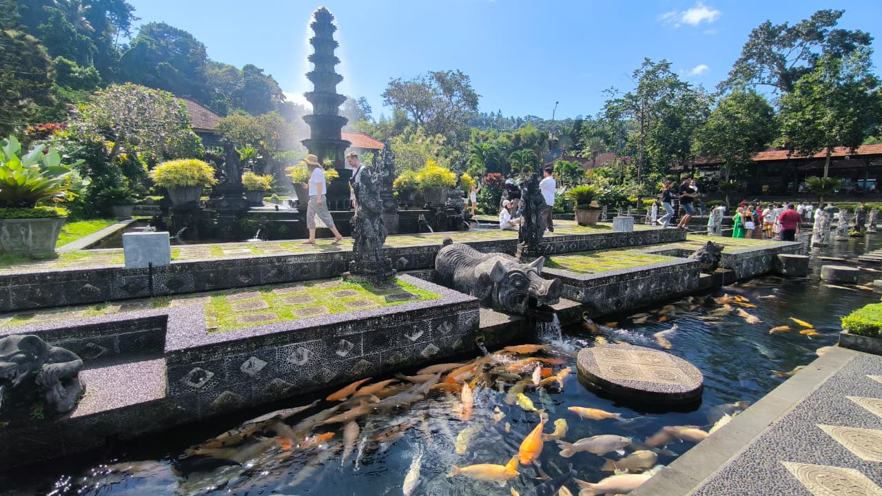 East Bali Highlights Tour Tirta Gangga Koi Fish Pond Bali